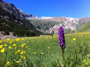 Hostel-Albergue Monte Perdido, Torla